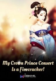 My Crown Prince Consort Is a Firecracker!