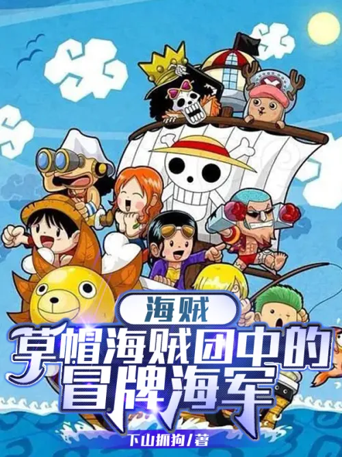 Pirates: The fake navy in the Straw Hat Pirates